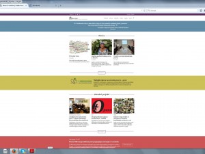 MI website printscreen