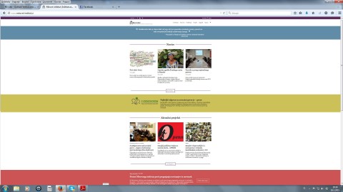 MI website printscreen