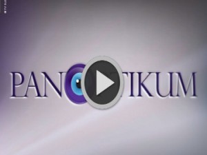 Panoptikum: Trdnjava Evropa in migracije