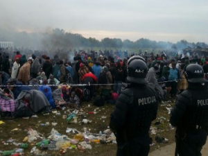 Človeško, prečloveško (ali o tem, kdo tu trpi in kako bo tudi Slovenija postavila zid, če ne bo »Evropa« uredila situacije)