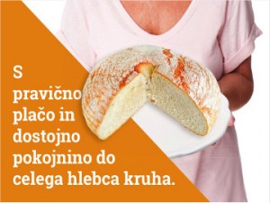 Omizje o vplivu plačnega in pokojninskega razkoraka na tveganje revščine v starosti