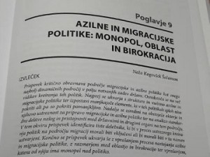 Azilne in migracijske politike: monopol, oblast in birokracija