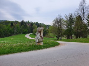 Obeležje, posvečeno črni človeški ribici ob vstopu v vas Jelševnik pri Črnomlju, kjer ima ribica habitat. Njiva, na kateri stoji obeležje, je »gnojena« z digestatom.