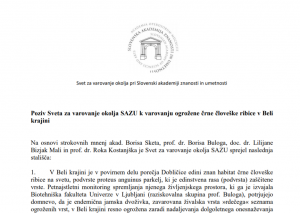 Aprila 2018 je Svet za varovanje okolja Slovenske akademije znanosti in umetnosti (SAZU) s posebno izjavo pozval ministrstvi za okolje in kmetijstvo k varovanju in zavarovanju habitata ogrožene črne človeške ribice v Beli krajini. Toda poziv je bil preslišan.