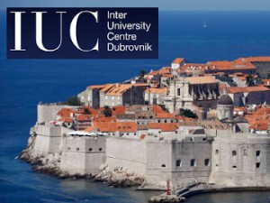 At IUC Dubrovnik a course entitled ‘The Inhuman Condition’ with the Peace Institute research team
