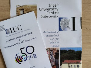 Sodelovanje na mednarodni poletni šoli Course on Divided Societies