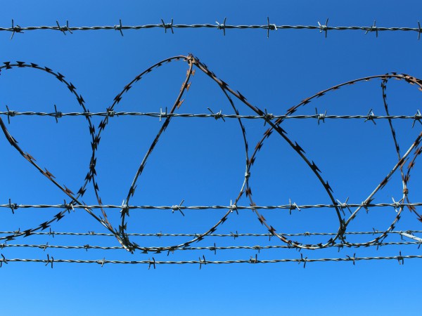 red-dot-xf3d31_ya40-unsplash