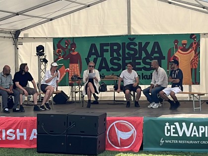 Integracija v Sloveniji – osnovne ugotovitve na 10. festivalu Afriška vas
